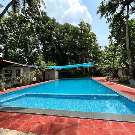 King Villa Goa Bãi biển Bãi biển Palolem Ngoại thất bức ảnh