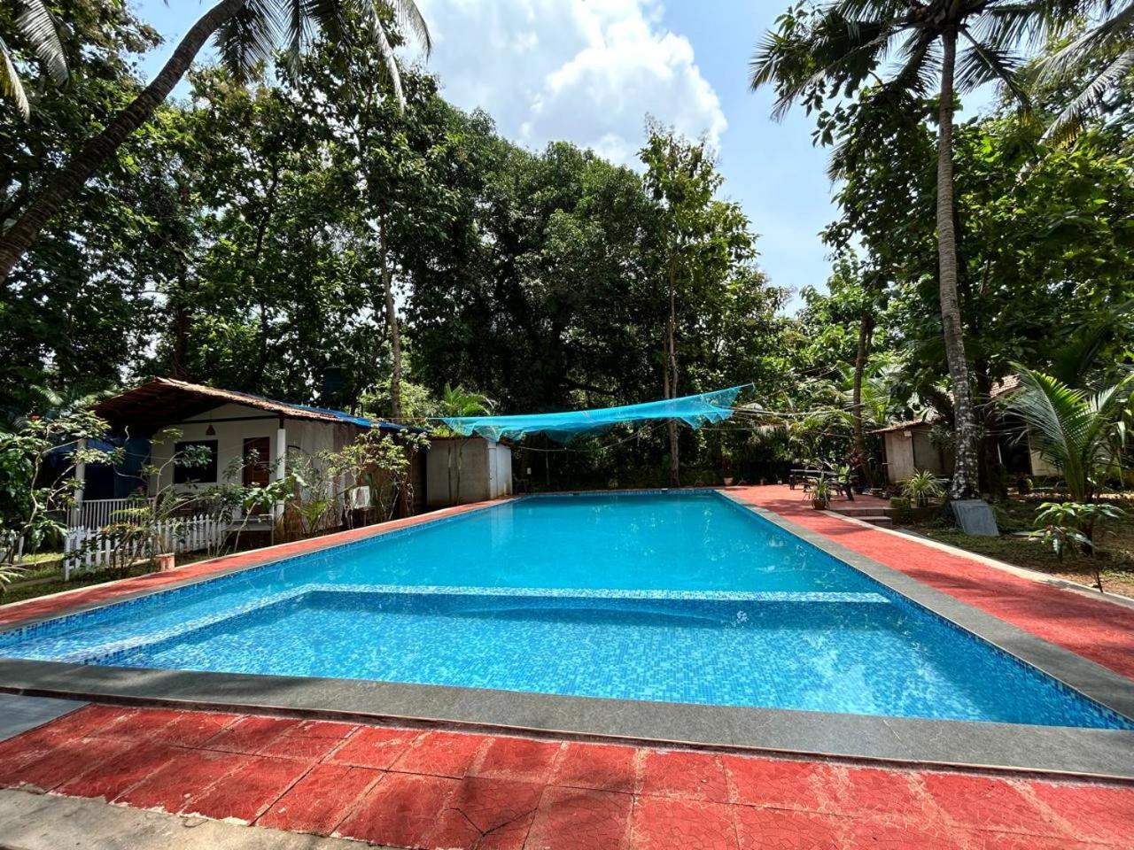 King Villa Goa Bãi biển Bãi biển Palolem Ngoại thất bức ảnh