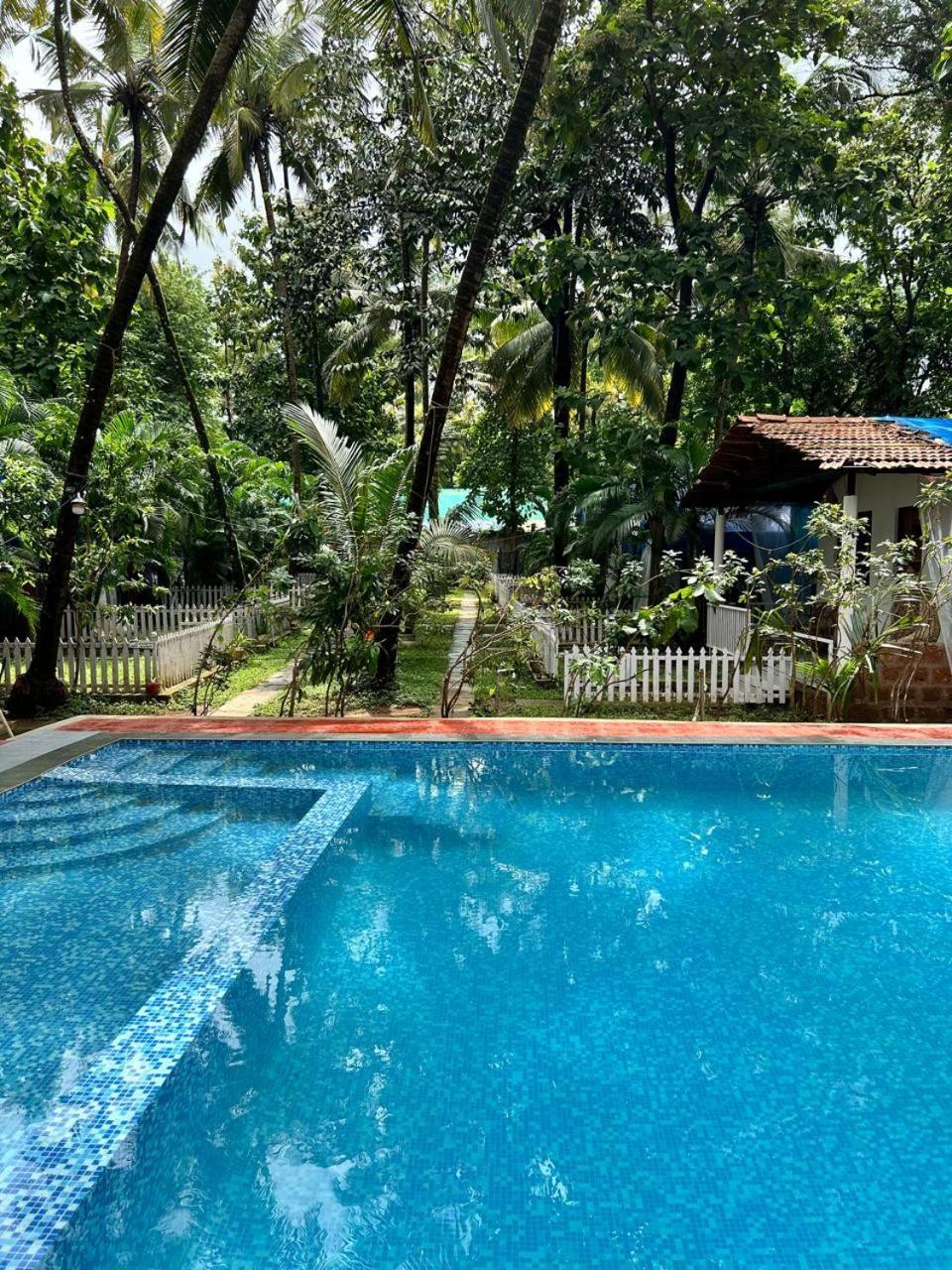 King Villa Goa Bãi biển Bãi biển Palolem Ngoại thất bức ảnh